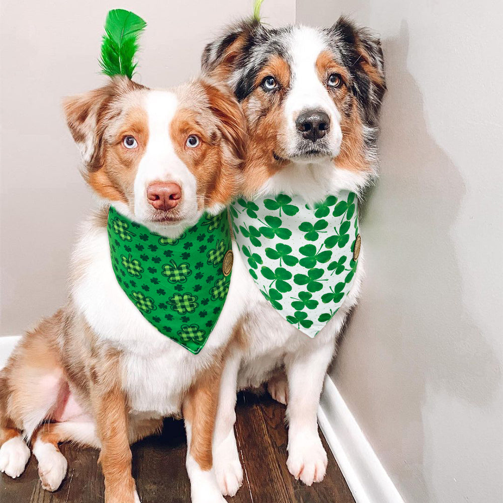 CROWNED BEAUTY Reversible St Patricks Day Dog Bandanas -Irish Inspire Set- 2 Pack for Medium to XL Dogs DB94-L