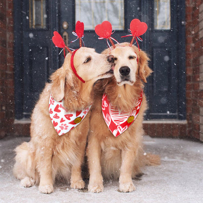 CROWNED BEAUTY Valentines Day Dog Bandanas Large 2 Pack,Red Heart Set DB14