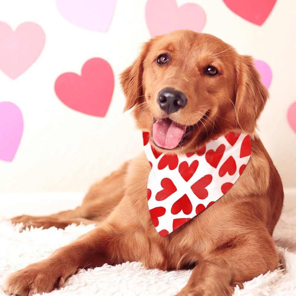Pañuelos para perros reversibles para el día de San Valentín, paquete grande de 2, juego de besos DB15