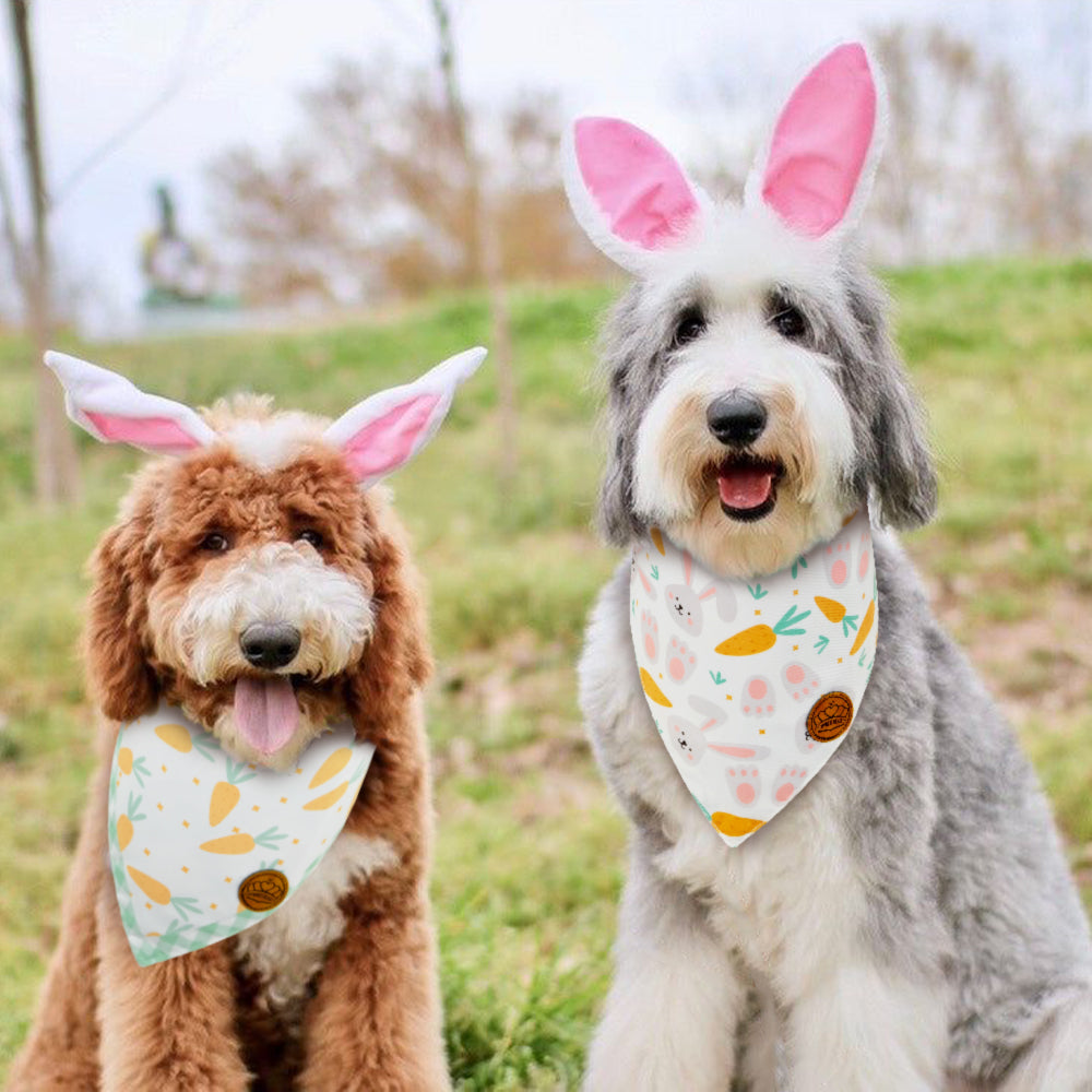 CROWNED BEAUTY Easter Dog Bandanas Large 2 Pack, Bunnies Carrots Set, DB24