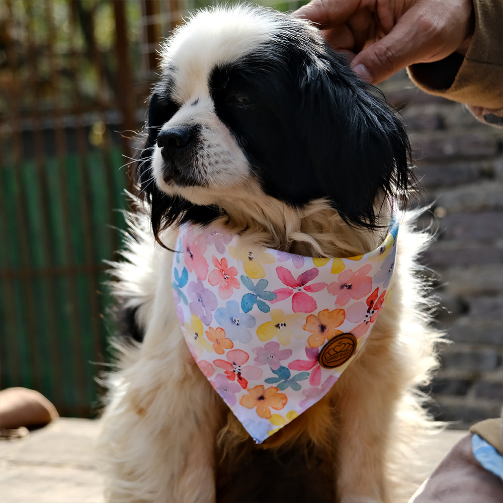 CROWNED BEAUTY Spring Dog Bandanas Reversible Large 2 Pack, Lavender Set, DB35