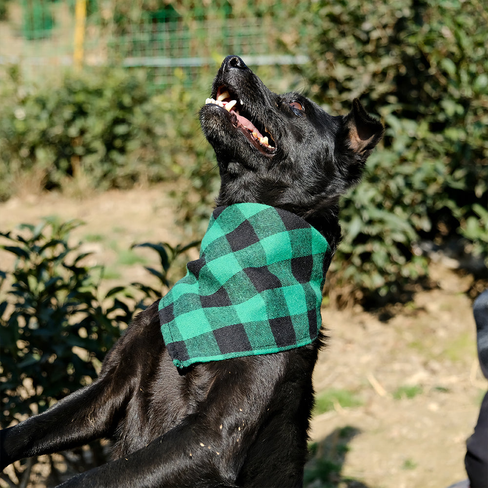 buffalo plaid dog bandana