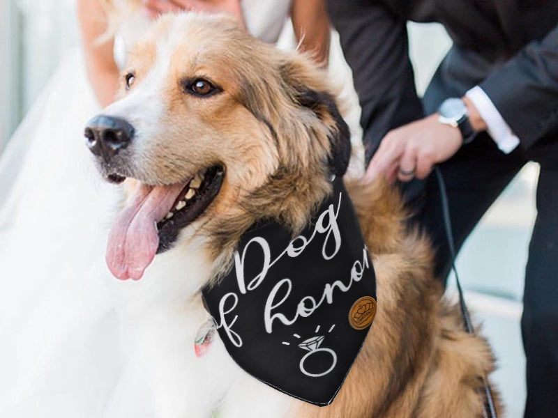 dog of honor wedding dog bandanas