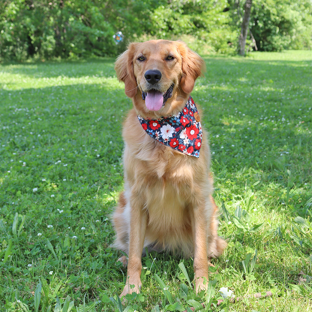 4th of july dog bandana