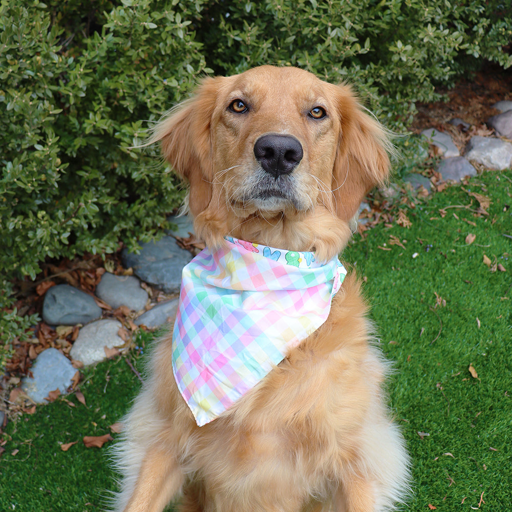 Easter Dog Bandanas 2-Pack Bunny Hop Set, Reversible Plaid & Stripe Adjustable Scarves for Medium & Large Dogs