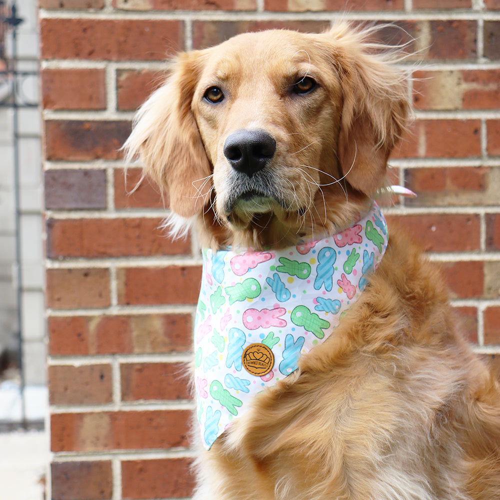 Easter Dog Bandanas 2-Pack Bunny Hop Set, Reversible Plaid & Stripe Adjustable Scarves for Medium & Large Dogs