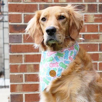 Easter Dog Bandanas 2-Pack Bunny Hop Set, Reversible Plaid & Stripe Adjustable Scarves for Medium & Large Dogs