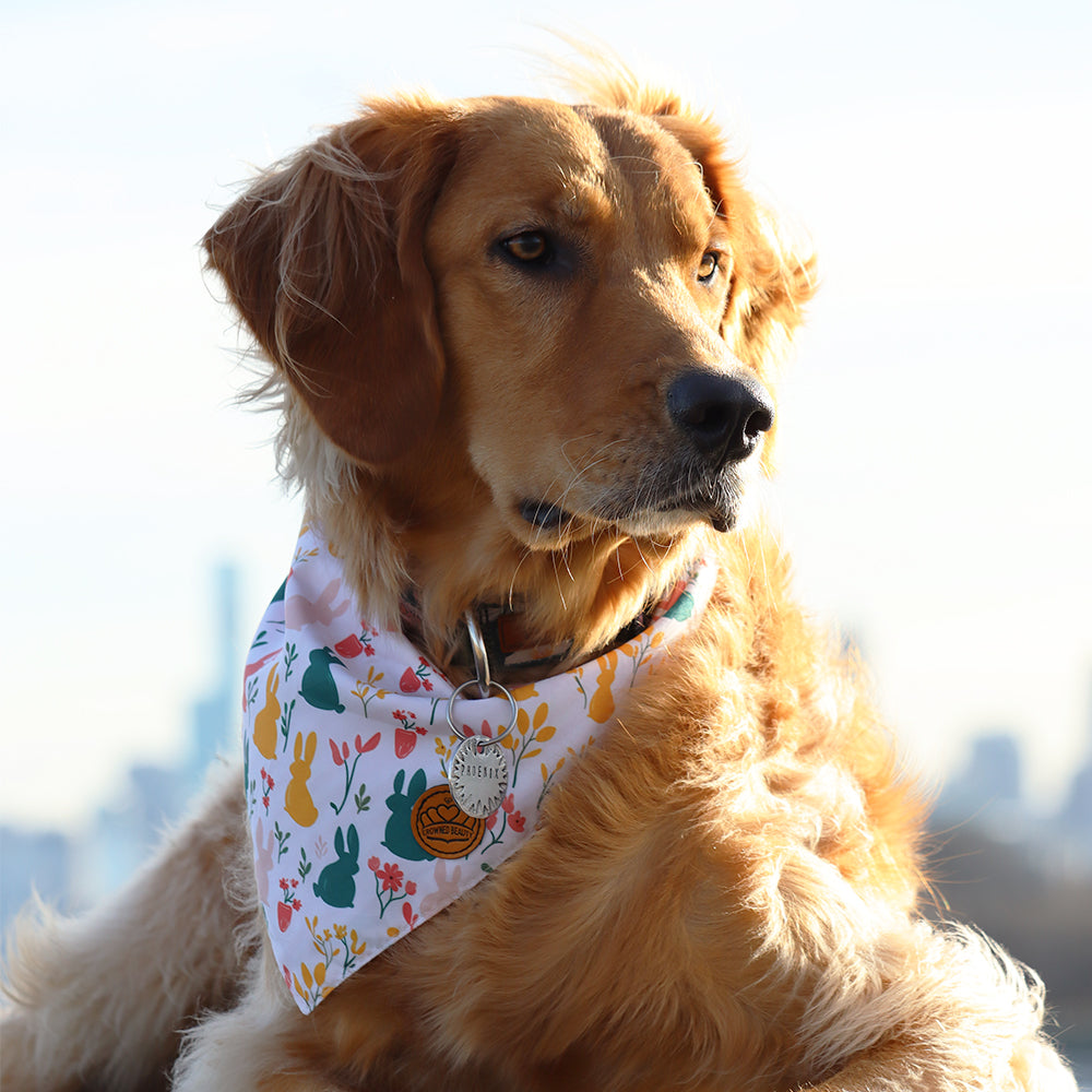 Easter Dog Bandanas 2-Pack Hoppy Days Set, Bunny & Egg Reversible Adjustable Scarves for Medium & Large Dogs