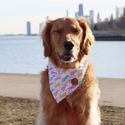 Easter Dog Bandanas 2-Pack Bunny Treats Set, Reversible Pink & Orange Triangle Scarves for Medium to Extra Large Dogs