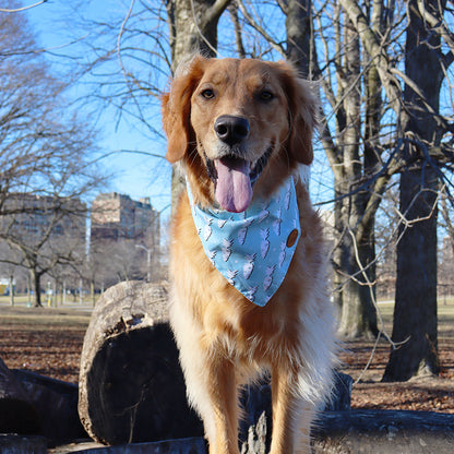 Easter Dog Bandanas 2-Pack Bunny Carrots Set, Reversible Pink & Blue Triangle Scarves for Medium to Extra Large Dogs