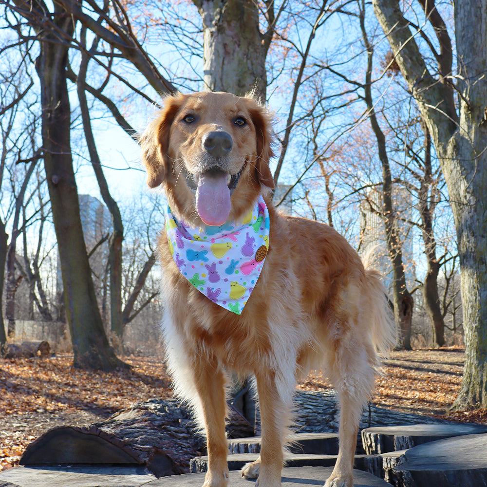 Easter Dog Bandanas 2-Pack Easter Joy Set, Reversible Purple Plaid Adjustable Scarves for Medium & Large Dogs