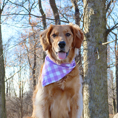 Easter Dog Bandanas 2-Pack Easter Joy Set, Reversible Purple Plaid Adjustable Scarves for Medium & Large Dogs