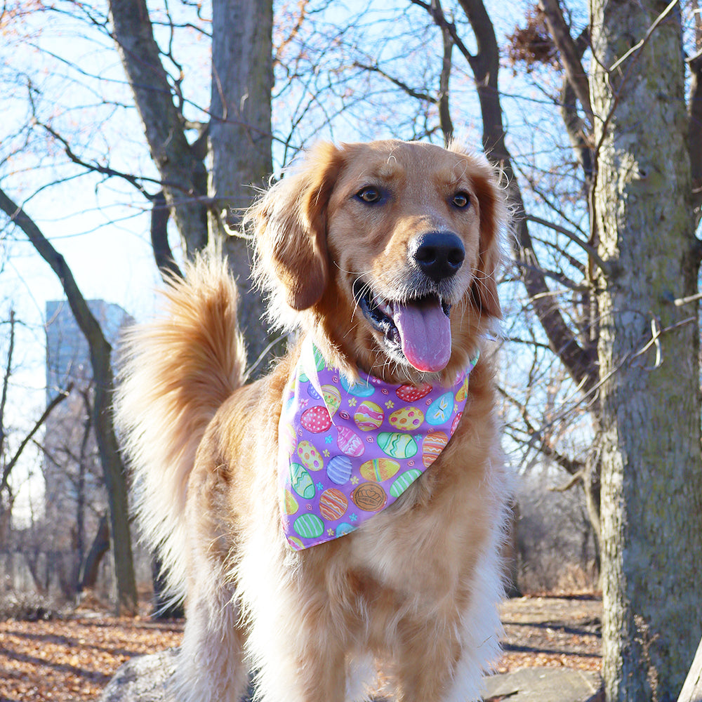 Easter Dog Bandanas 2-Pack Easter Joy Set, Reversible Purple Plaid Adjustable Scarves for Medium & Large Dogs