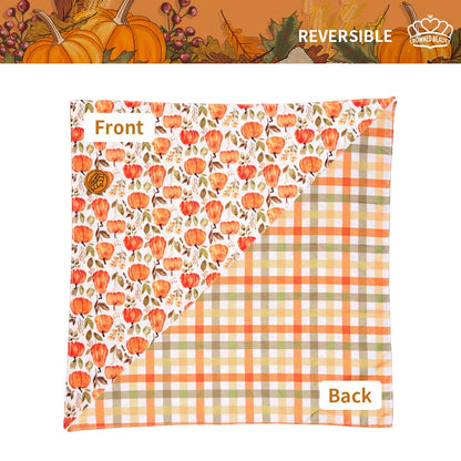 CROWNED BEAUTY Reversible Fall Dog Bandanas -Pumpkin Parade Set- 2 Pack for Medium to XL Dogs DB122-L