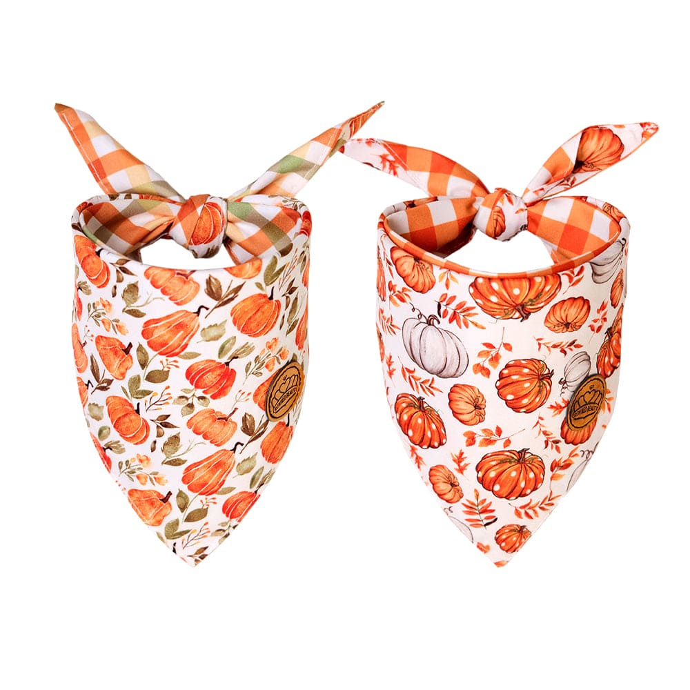 CROWNED BEAUTY Reversible Fall Dog Bandanas -Pumpkin Parade Set- 2 Pack for Medium to XL Dogs DB122-L