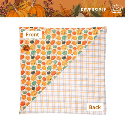 CROWNED BEAUTY Reversible Fall Dog Bandanas -Harvest Hues Set- 2 Pack for Medium to XL Dogs DB123