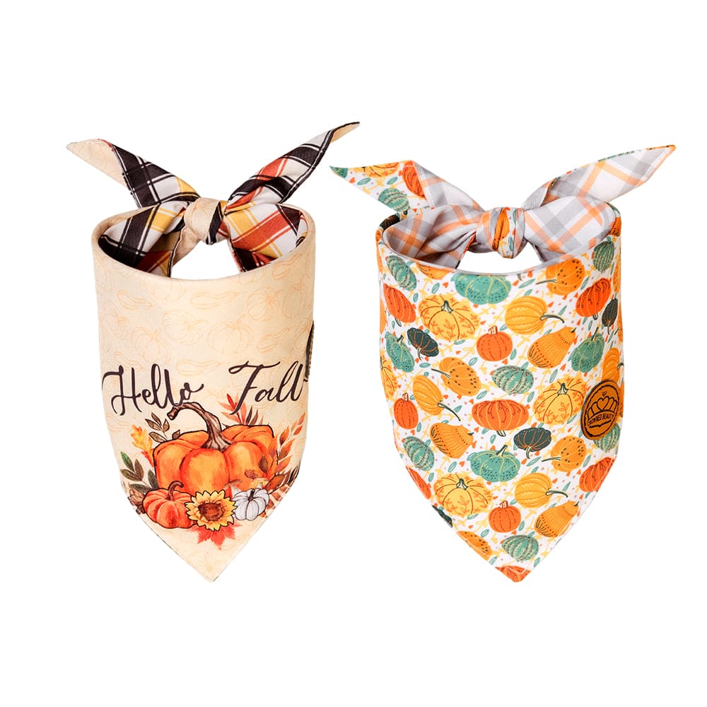 CROWNED BEAUTY Reversible Fall Dog Bandanas -Harvest Hues Set- 2 Pack for Medium to XL Dogs DB123