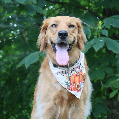 CROWNED BEAUTY Reversible Fall Dog Bandanas -Harvest Hues Set- 2 Pack for Medium to XL Dogs DB123