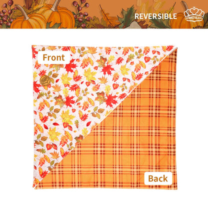 CROWNED BEAUTY Reversible Fall Dog Bandanas -Autumn Tails Set- 2 Pack for Medium to XL Dogs DB125