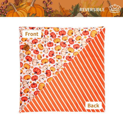 CROWNED BEAUTY Reversible Fall Dog Bandanas -Autumn Tails Set- 2 Pack for Medium to XL Dogs DB125