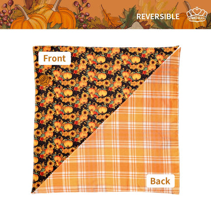 CROWNED BEAUTY Reversible Fall Dog Bandanas -Fall Fashions Set- 2 Pack for Medium to XL Dogs DB126