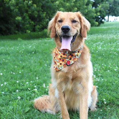 CROWNED BEAUTY Reversible Fall Dog Bandanas -Fall Fashions Set- 2 Pack for Medium to XL Dogs DB126