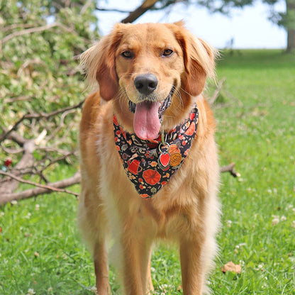 CROWNED BEAUTY Reversible Fall Dog Bandanas -Pawsome Harvest Set- 2 Pack for Medium to XL Dogs DB127