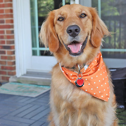 CROWNED BEAUTY Reversible Fall Dog Bandanas -Leafy Luxe Set- 2 Pack for Medium to XL Dogs DB128