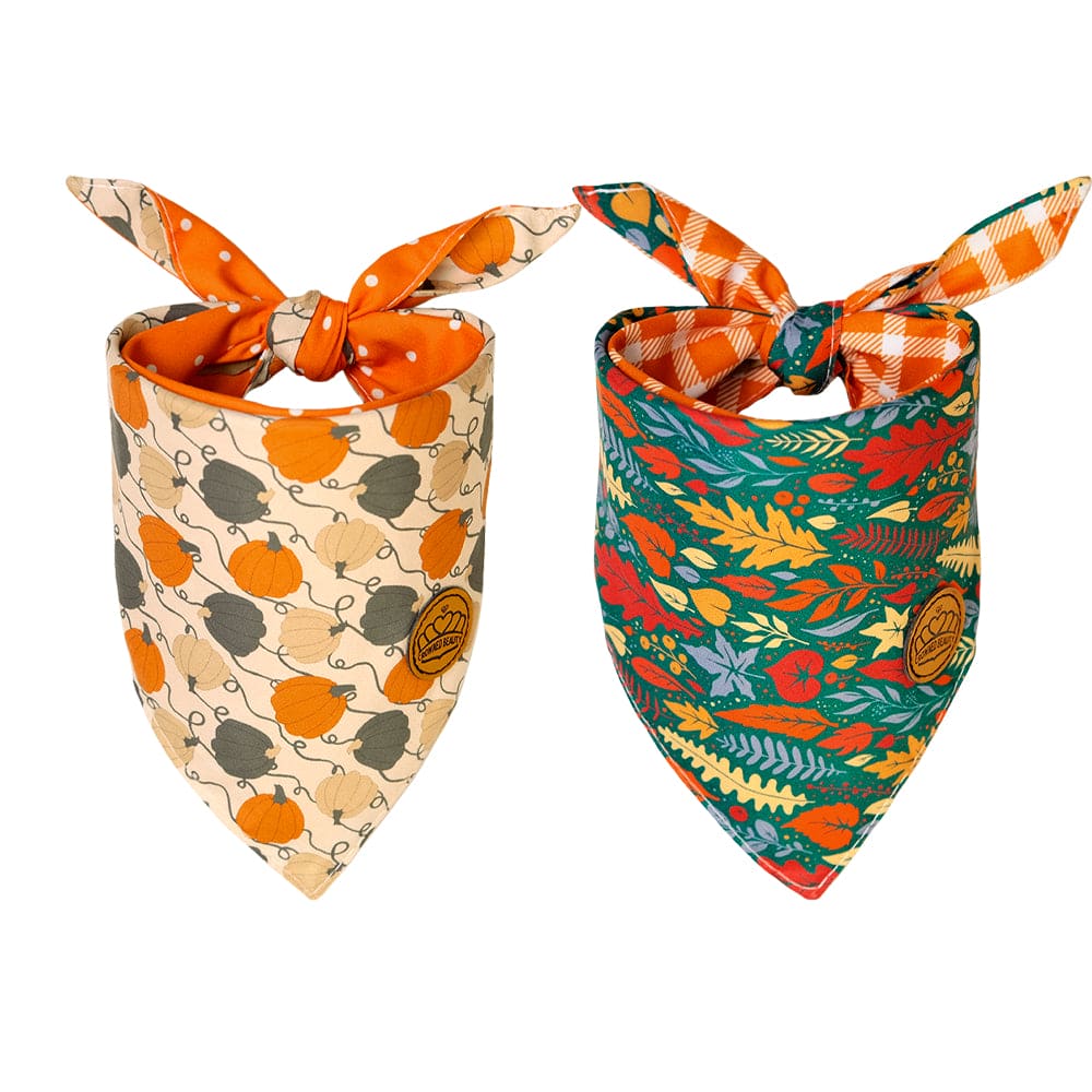 CROWNED BEAUTY Reversible Fall Dog Bandanas -Leafy Luxe Set- 2 Pack for Medium to XL Dogs DB128