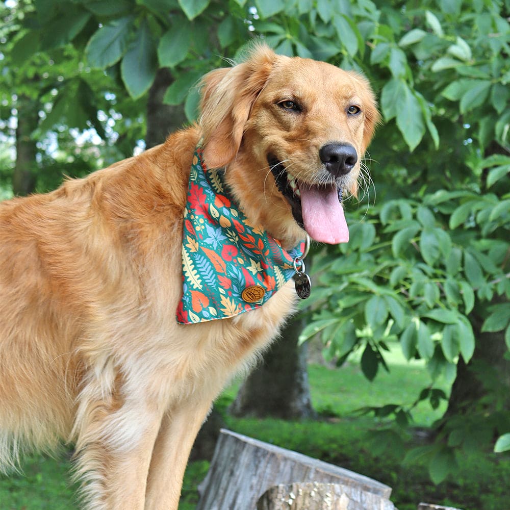 CROWNED BEAUTY Reversible Fall Dog Bandanas -Leafy Luxe Set- 2 Pack for Medium to XL Dogs DB128