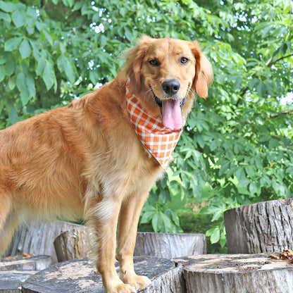 CROWNED BEAUTY Reversible Fall Dog Bandanas -Leafy Luxe Set- 2 Pack for Medium to XL Dogs DB128