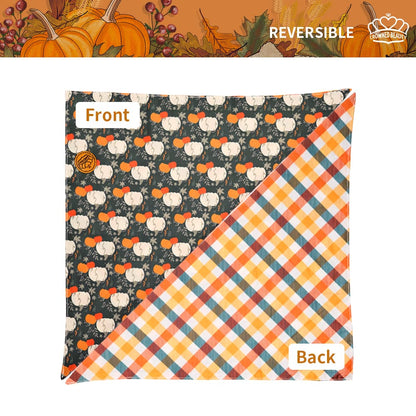 CROWNED BEAUTY Reversible Fall Dog Bandanas -Foliage Frolic Set- 2 Pack for Medium to XL Dogs DB129