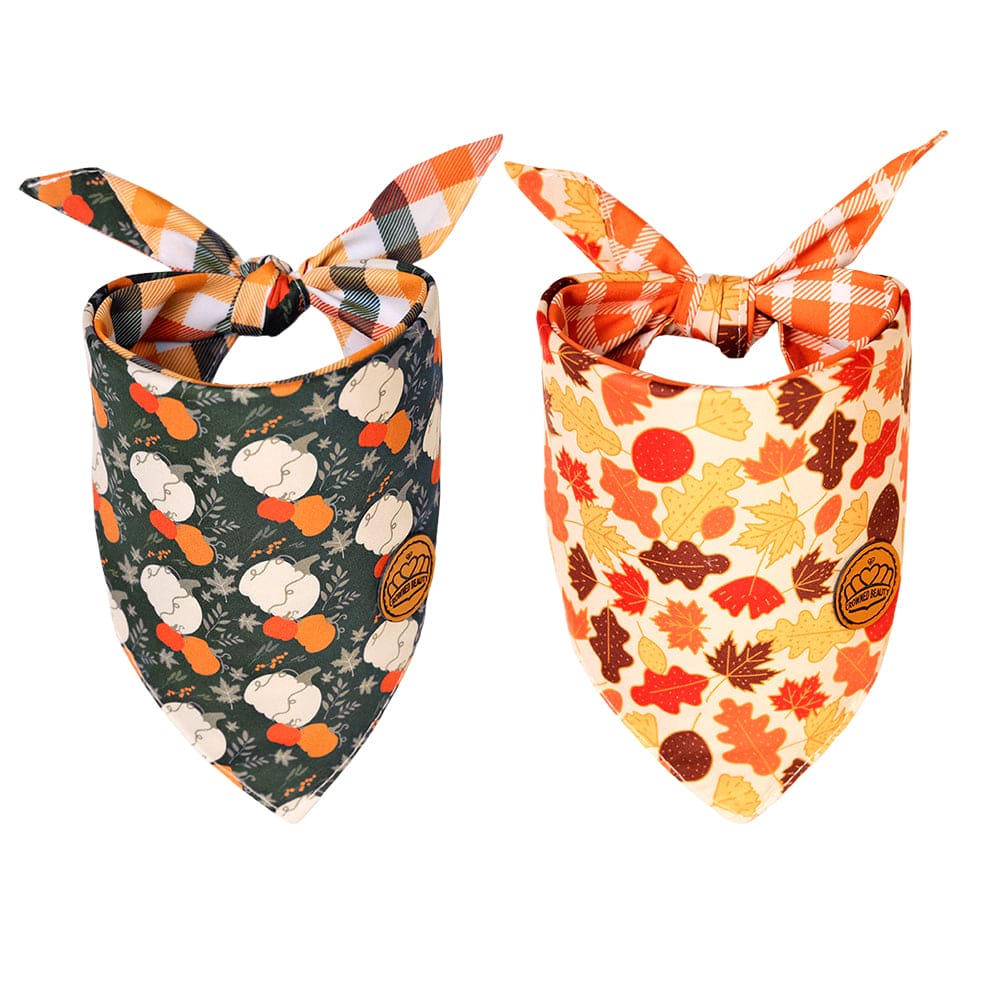 CROWNED BEAUTY Reversible Fall Dog Bandanas -Foliage Frolic Set- 2 Pack for Medium to XL Dogs DB129