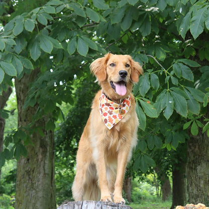 CROWNED BEAUTY Reversible Fall Dog Bandanas -Foliage Frolic Set- 2 Pack for Medium to XL Dogs DB129