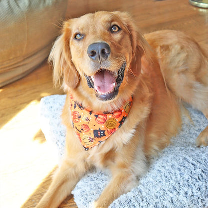 CROWNED BEAUTY Reversible Halloween Dog Bandanas -Spooky Paws Set- 2 Pack for Medium to XL Dogs DB133-L