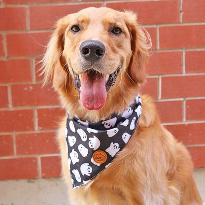 CROWNED BEAUTY Reversible Halloween Dog Bandanas -Ghostly Boo Set- 2 Pack for Medium to XL Dogs DB134-L