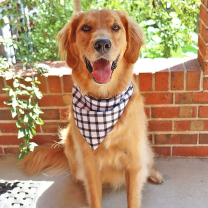 CROWNED BEAUTY Reversible Halloween Dog Bandanas -Ghostly Boo Set- 2 Pack for Medium to XL Dogs DB134-L