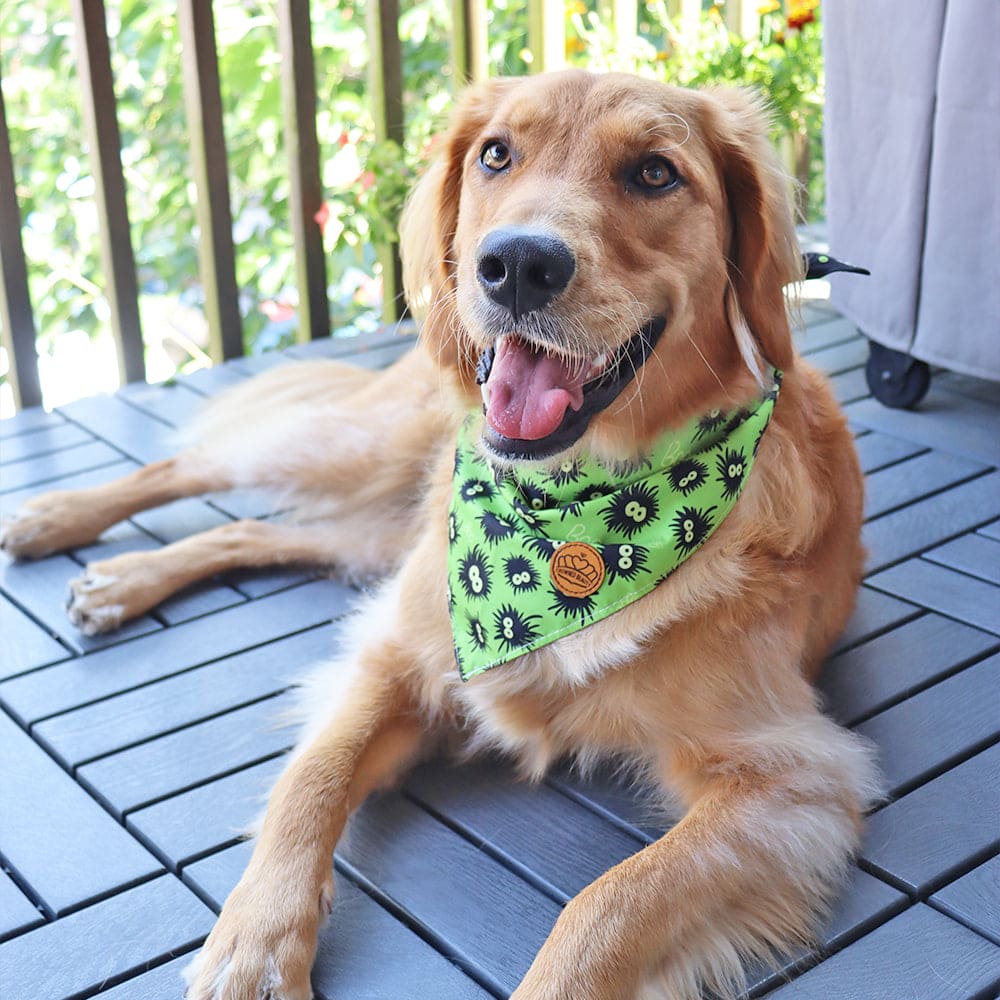 CROWNED BEAUTY Reversible Halloween Dog Bandanas -Ghostly Boo Set- 2 Pack for Medium to XL Dogs DB134-L