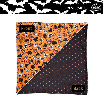 CROWNED BEAUTY Reversible Halloween Dog Bandanas -Spooky Whiskers Set- 2 Pack for Medium to XL Dogs DB135-L