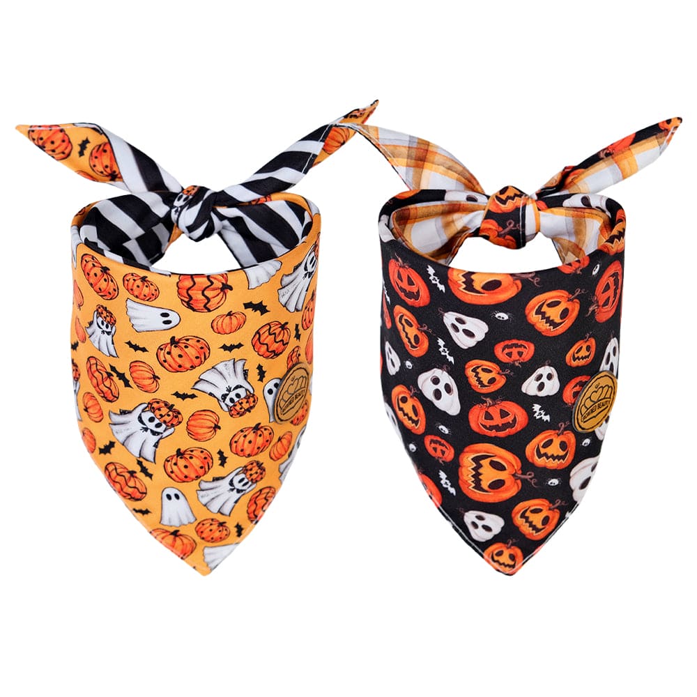 CROWNED BEAUTY Reversible Halloween Dog Bandanas -Haunted Pumpkins Set- 2 Pack for Medium to XL Dogs DB136-L