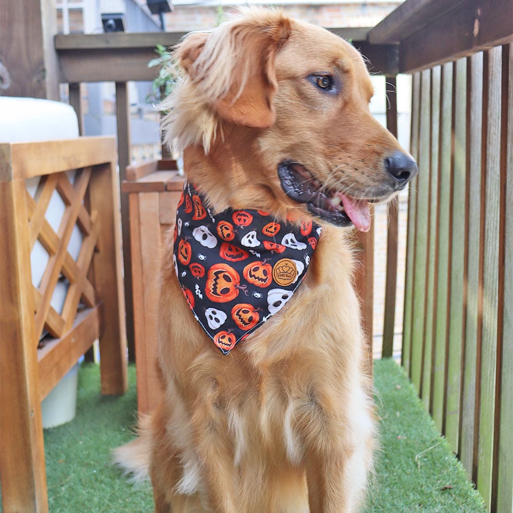 CROWNED BEAUTY Reversible Halloween Dog Bandanas -Haunted Pumpkins Set- 2 Pack for Medium to XL Dogs DB136-L