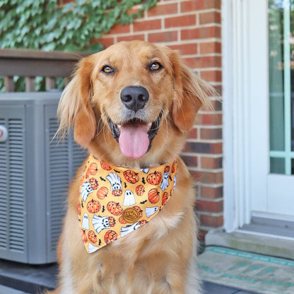 CROWNED BEAUTY Reversible Halloween Dog Bandanas -Haunted Pumpkins Set- 2 Pack for Medium to XL Dogs DB136-L