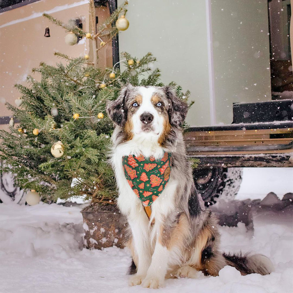 CROWNED BEAUTY Reversible Christmas Dog Bandanas -Gingerbread Joy Set- 2 Pack for Medium to XL Dogs DB137