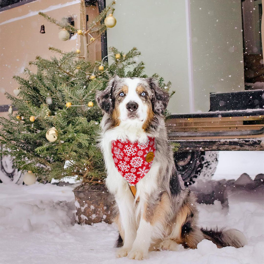 CROWNED BEAUTY Reversible Christmas Dog Bandanas -Snowy Bliss Set- 2 Pack for Medium to XL Dogs DB139