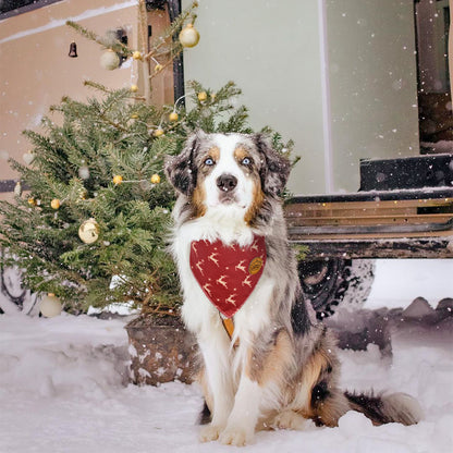 CROWNED BEAUTY Reversible Christmas Dog Bandanas -Festive Forest Set- 2 Pack for Medium to XL Dogs DB140