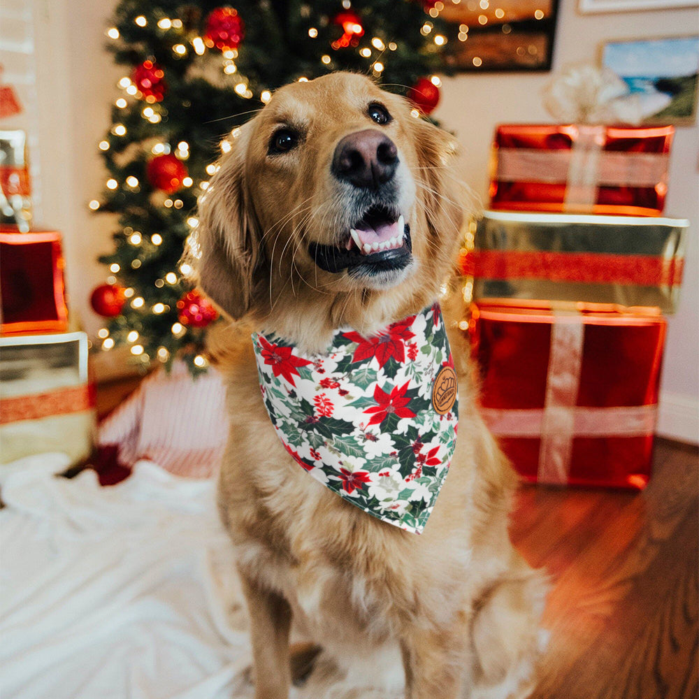 CROWNED BEAUTY Reversible Christmas Dog Bandanas -Holiday Blooms Set- 2 Pack for Medium to XL Dogs DB144