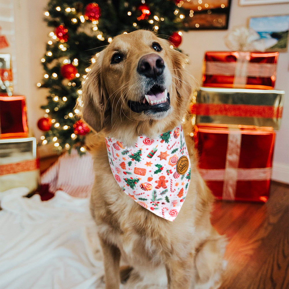 CROWNED BEAUTY Reversible Christmas Dog Bandanas -Jolly Greens Set- 2 Pack for Medium to XL Dogs DB145