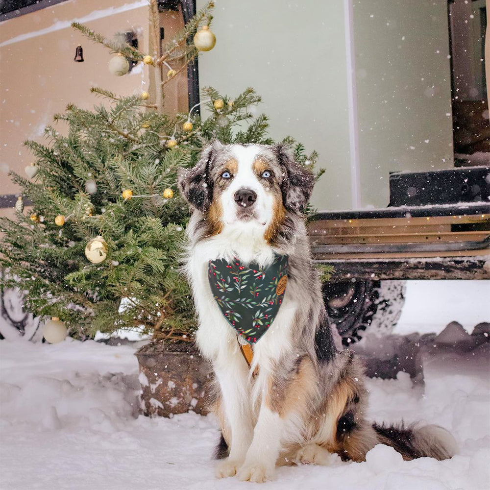 CROWNED BEAUTY Reversible Christmas Dog Bandanas -Jolly Greens Set- 2 Pack for Medium to XL Dogs DB145