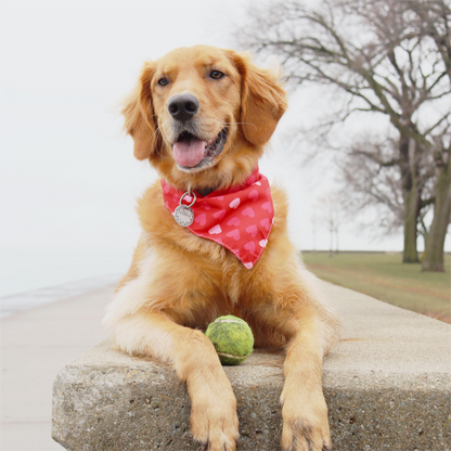 CROWNED BEAUTY Reversible Valentine's Day Dog Bandanas -Heart Sprinkles Set- 2 Pack for Medium to XL Dogs DB149-L