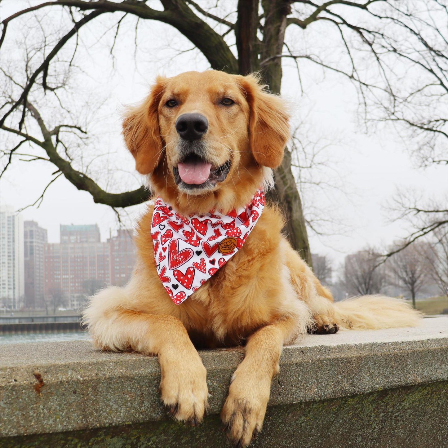 CROWNED BEAUTY Reversible Valentine's Day Dog Bandanas -Heart Sprinkles Set- 2 Pack for Medium to XL Dogs DB149-L